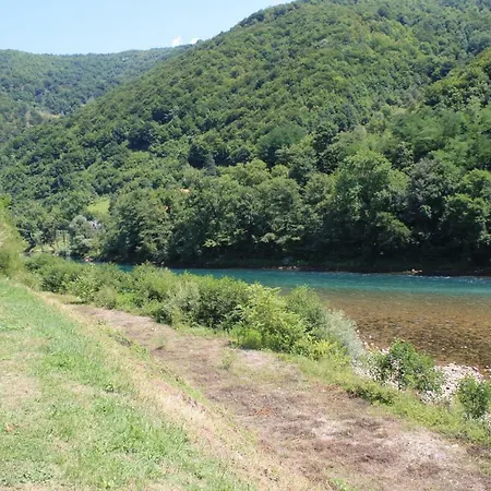 Drina * Foca